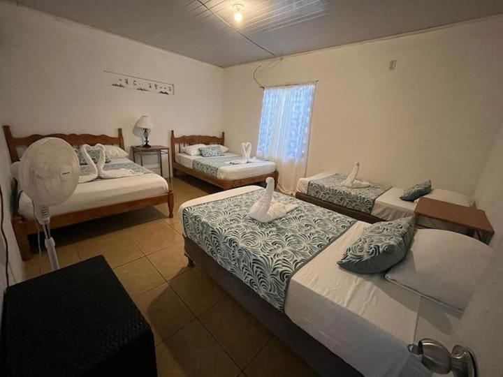 Casa Artavia Villa Tortuguero Luaran gambar
